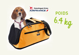 Sacs de transport homologués pour un vol d'avion Air France : Lesquels  faut-il choisir pour un chien en cabine ? - Terre Bleue