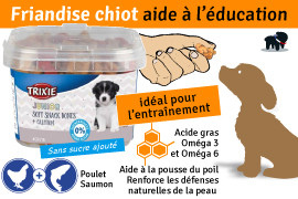 friandise pour chiot