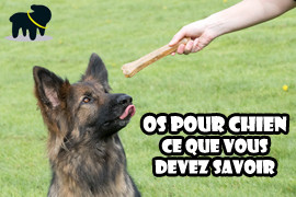 os pour chien, os à mâcher