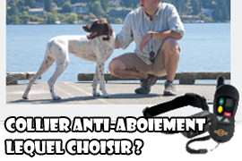 Collier anti-aboiement, lequel choisir ?