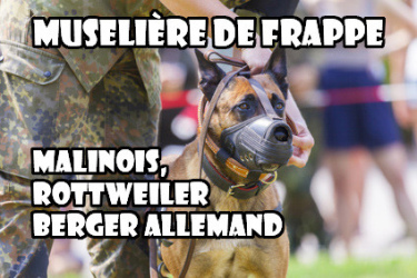 museliere de frappe