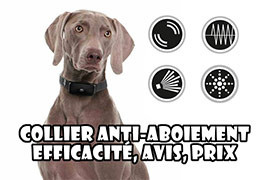 collier anti aboiement efficacité avis prix