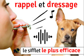 sifflet ultrason