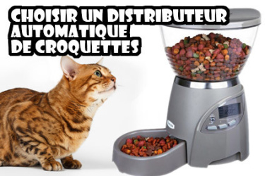 distributeur croquette chat programmable