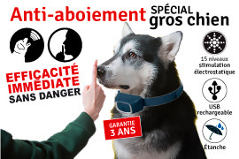 anti aboiement gros chien