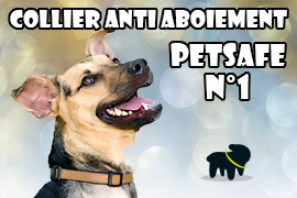 Collier anti aboiement petsafe