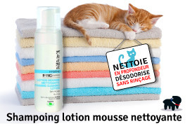 laver un chat