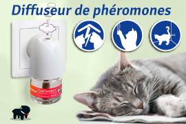 pheromone chat