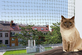 Filet de protection chat