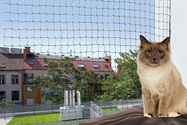 Filet de protection balcon et fenêtre pour chat et chaton - Anka - 6 x 3 m
