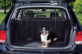 Grille chien voiture