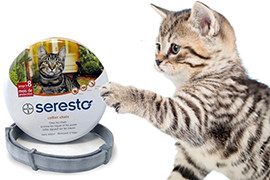 Seresto chat, collier anti puce efficace, le top !