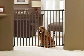 barrière pour chien