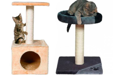 petit arbre à chat pas cher
