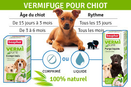vermifuge pour chiot