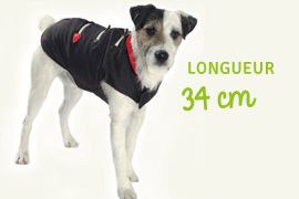 manteau pour chien