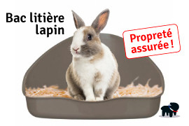bac litière lapin