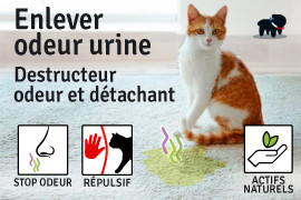 Comment enlever l'odeur d'urine de chat ?