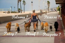 prenom de chien 2019