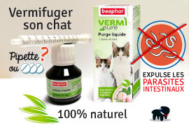 VERMIFUGE CHAT