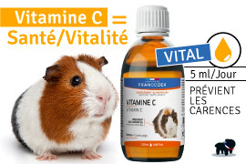 VITAMINE C COCHON D'INDE