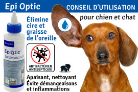 epiotic