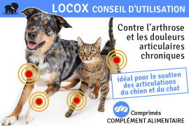 locox