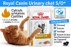 Royal Canin Urinary chat S/O, Croquette !