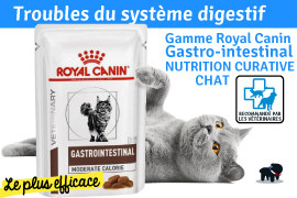 gastro intestinal