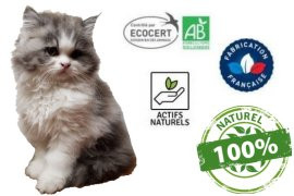 Vermifuge chaton ! à quel âge vermifuger un chaton ?