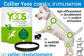 collier yoos
