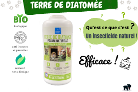 terre diatomée chat