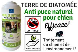 terre de diatopmée