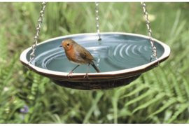 baignoire oiseau