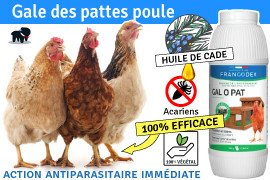 Gale des pattes poule, Conseil, Remède, Résultat !