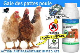 Gale des pattes poule, Conseil, Remède, Résultat !