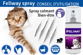 Feliway spray : conseil d'utilisation !
