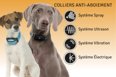collier anti aboiement avis