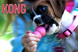 Kong chien