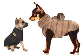 Vêtement Chihuahua