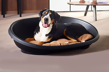 panier plastique chien