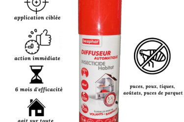 Puce de parquet