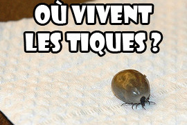 Où vivent les tiques