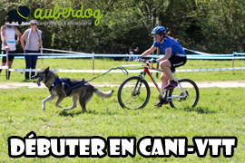 Cani-VTT : faire du vélo avec son chien ?
