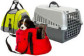 Transport du chien