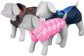 Manteau et vêtement pour chien