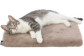 Tapis et coussin