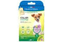 Anti puce naturel pour chien