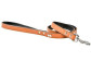 Laisse en cuir pour chien