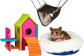 Maison, lit, hamac